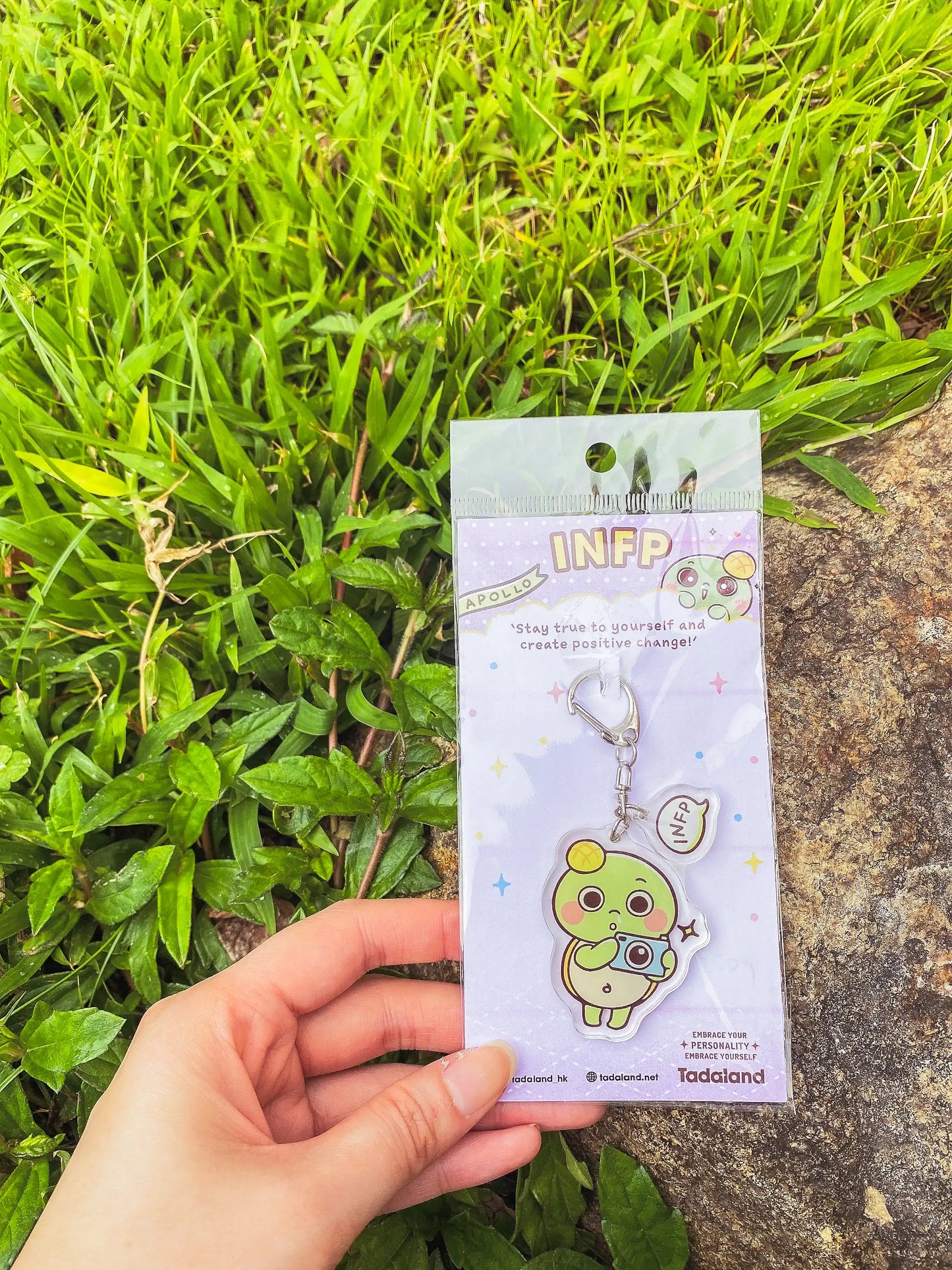 达意小岛-keychains-鎖匙釦- Apollo菠蘿龜 INFP