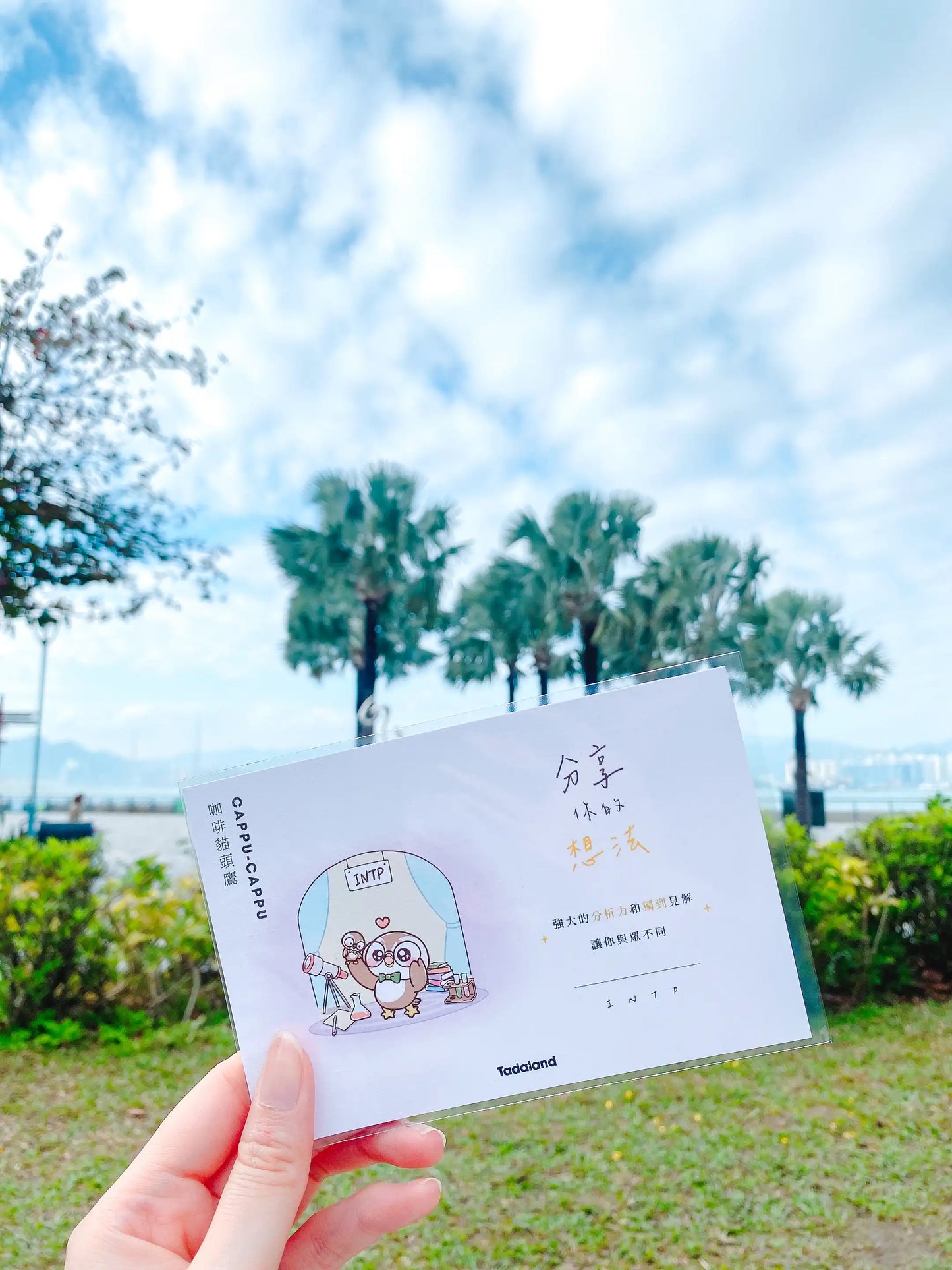 达意小岛-Tadamates Encouragement Cards-心意卡-Cappu-Cappu 咖啡貓頭鷹 INTP