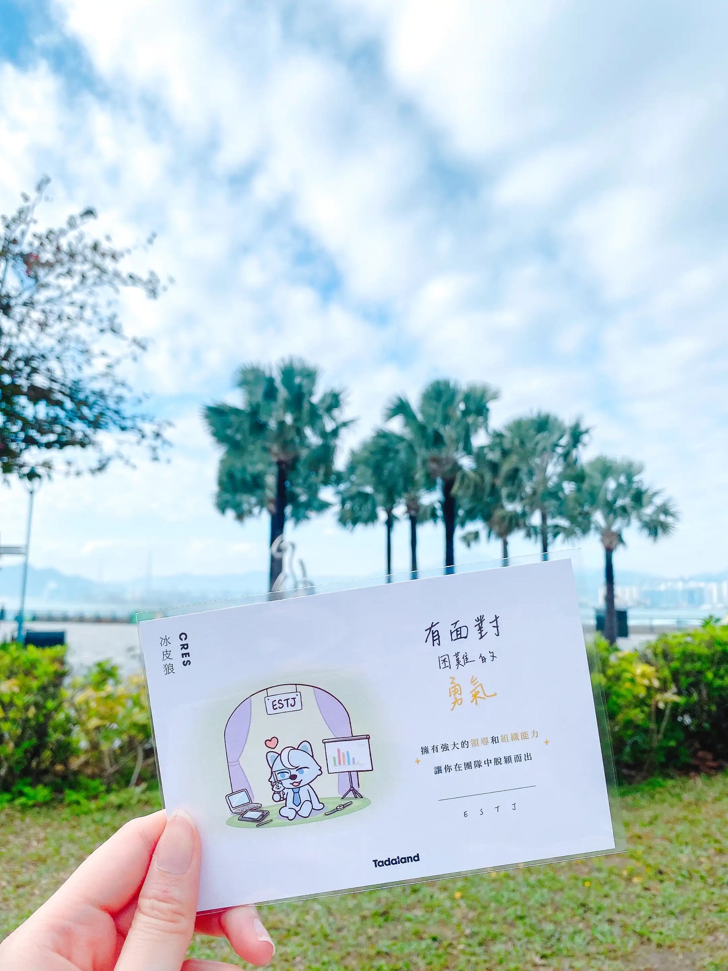 达意小岛-Tadamates Encouragement Cards-心意卡-Cres 冰皮狼ESTJ
