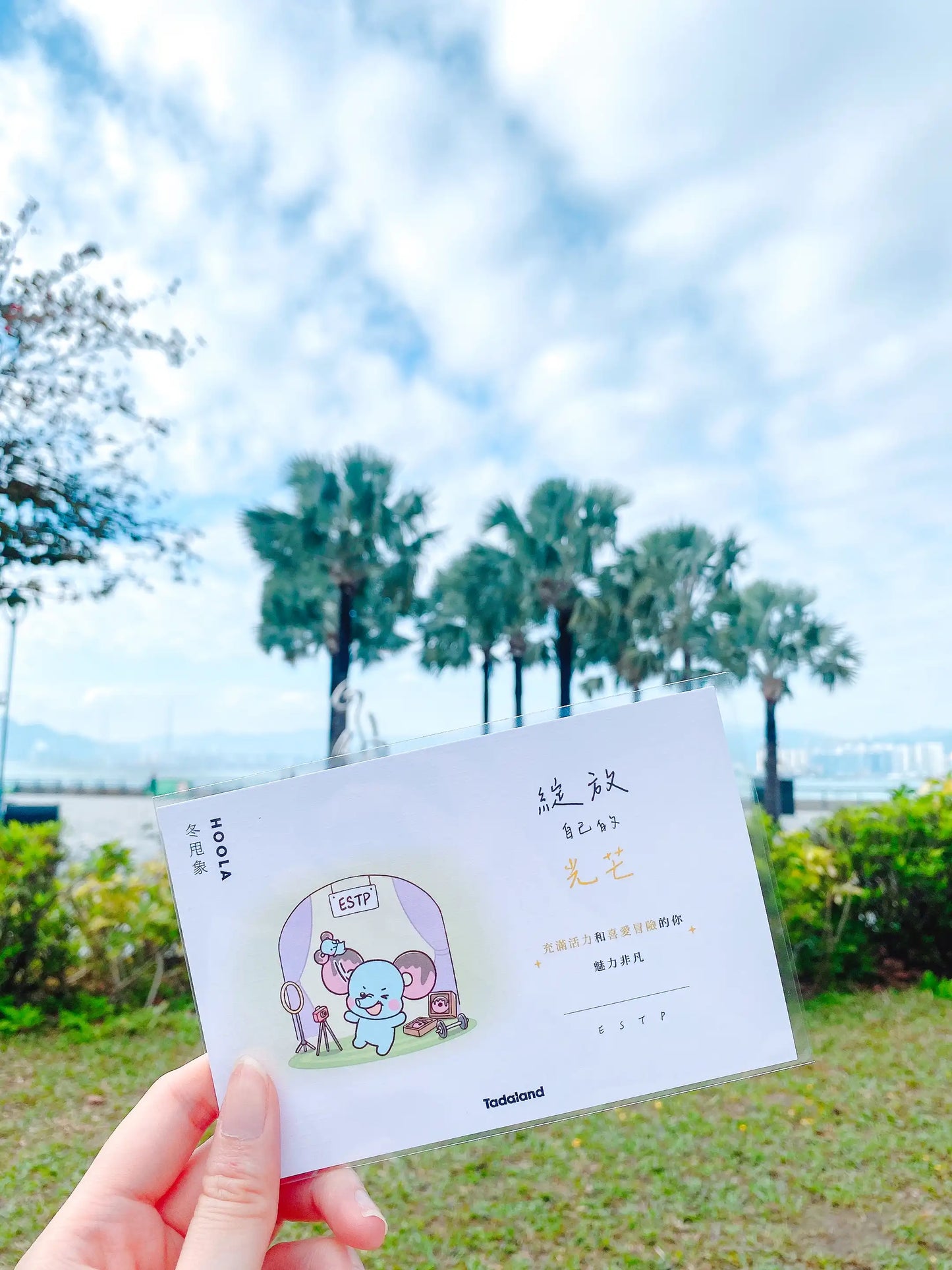 达意小岛-Tadamates Encouragement Cards-心意卡-冬甩象 ESTP