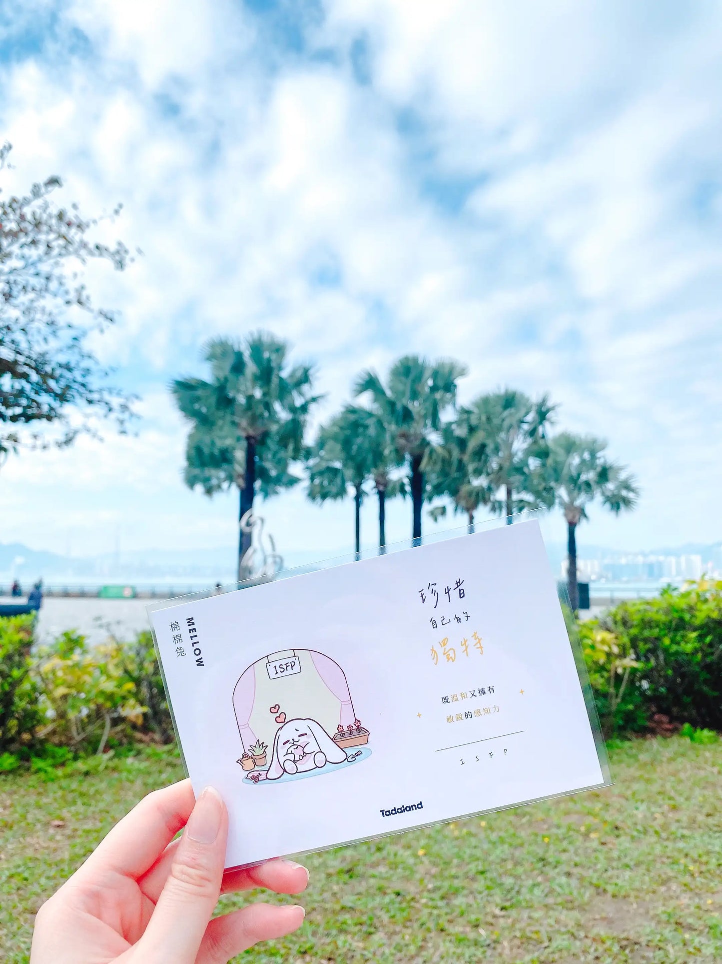 达意小岛-Tadamates Encouragement Cards-心意卡-Mellow 棉棉兔 ISFP