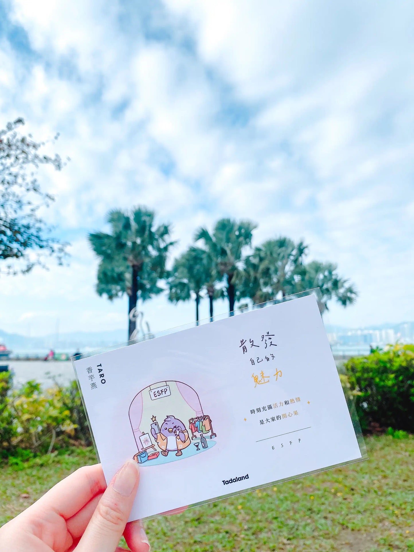 达意小岛-Tadamates Encouragement Cards-心意卡-Taro 香芋燕 ESFP